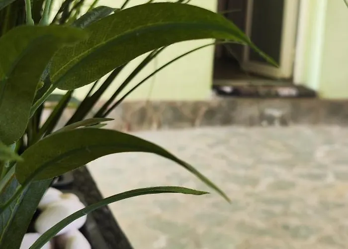 Marinkovic 2 Stan Na Dan 4* Vranje